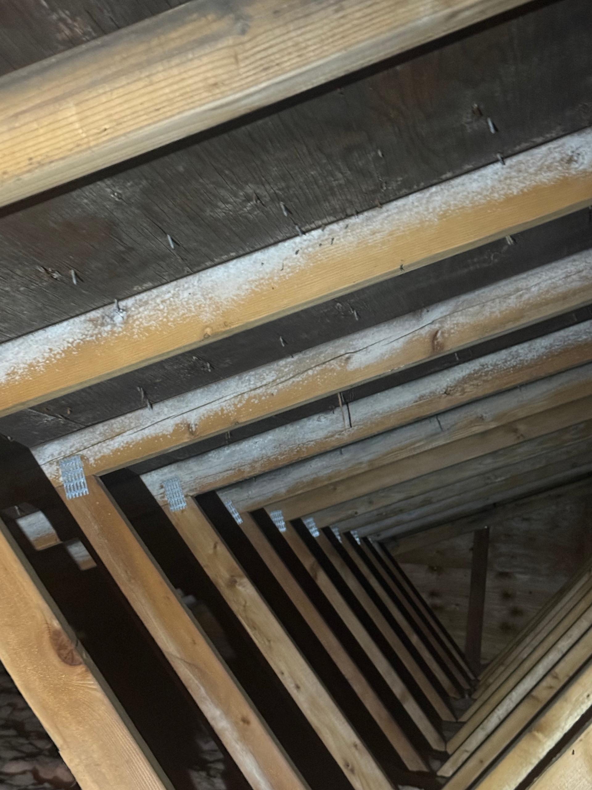 Common Home Styles in Laurel, MT: What We See on Inspections